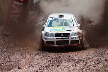 Avis Boğaziçi Rallisi