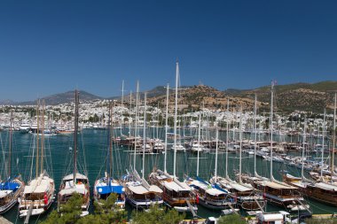 Bodrum şehir