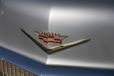 Yarışmacılar d 'Zarafet