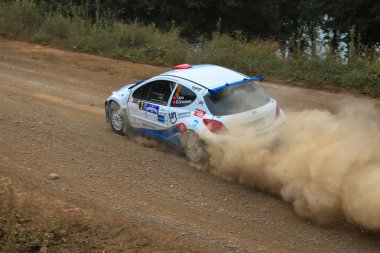 Boğaziçi Rallisi 2015