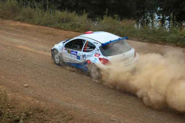 Boğaziçi Rallisi 2015 — Stok fotoğraf