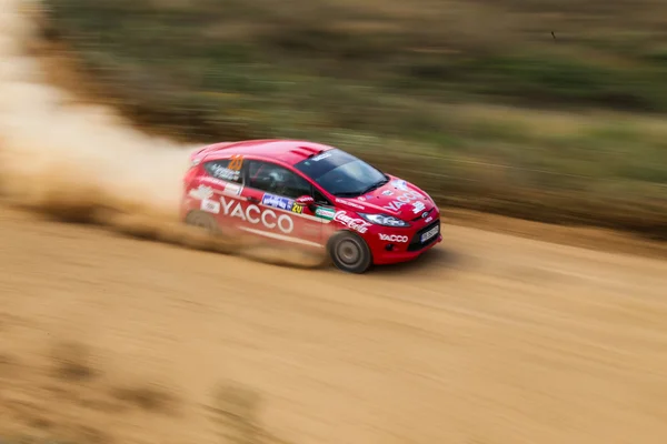 Bósforo Rally 2015 —  Fotos de Stock