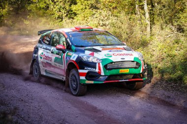 İSTANBUL, TURKIYE - 15 Kasım 2025: İstanbul Rallisi 'nde ralli otomobil yarışı