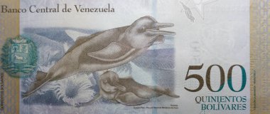 500 Bolivares Obverse Amazon Nehri Yunuslarını Gösteriyor