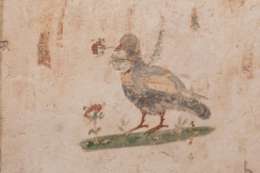 Teras evler, Efes Antik Kenti çizim