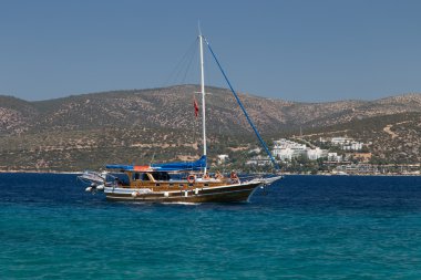 A Brown Sailboat