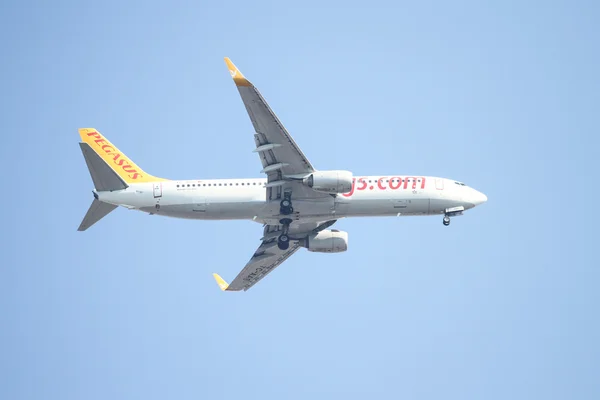 An airplane is landing — Stock Photo, Image