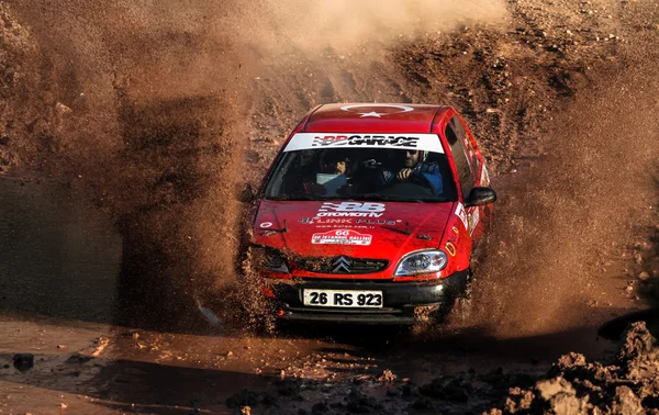 Rally di Istanbul 2015 — Foto Stock