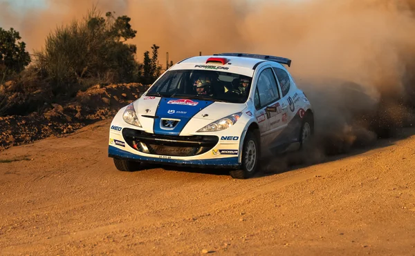 Rally de Estambul 2015 — Foto de Stock