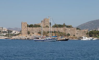 Hindideki sahte şato