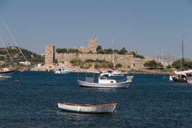 Hindideki sahte şato