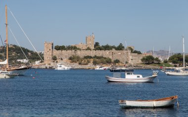 Hindideki sahte şato