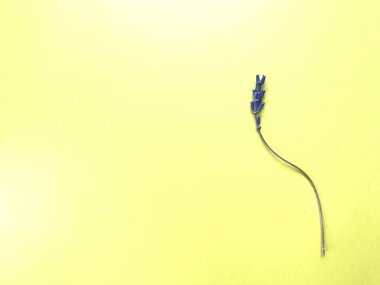 bir kuru lavanta sapı