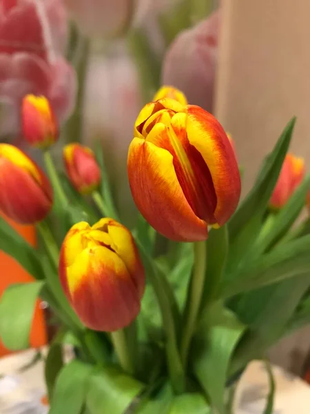 Belo Buquê Tulipas Vermelhas Amarelas — Fotografia de Stock