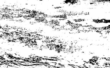 Kaba yüzey, çatlamış ahşap ve ağaç kabuğunun sıkıntılı örtülü dokusu. Grunge 'un geçmişi. bir renk grafik kaynağı.