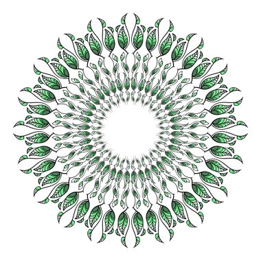 Yeşil yuvarlak patten yaprakları