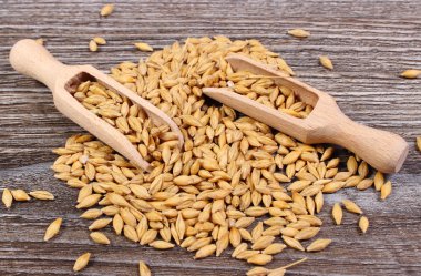 Arpa buğday ahşap zemin üzerine kaşıkla