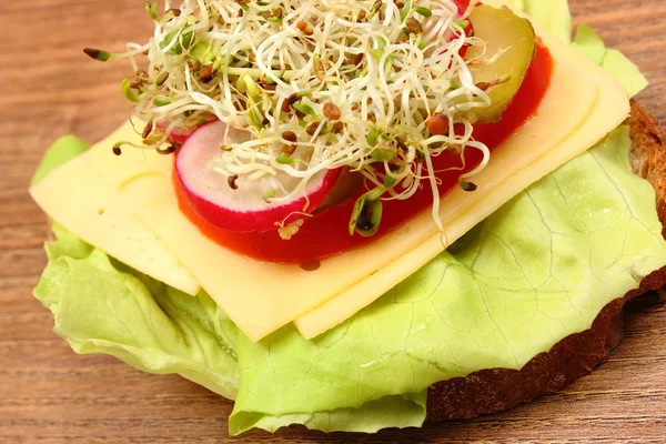 Vegetarische sandwich met luzerne en radijs spruiten — Stockfoto