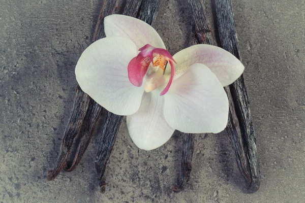 Foto vintage, orquídea florescente e palitos de baunilha perfumados — Fotografia de Stock