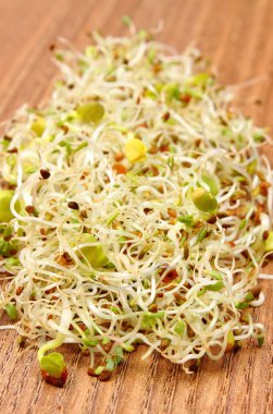 Yonca ve turp lahanası ahşap tablo