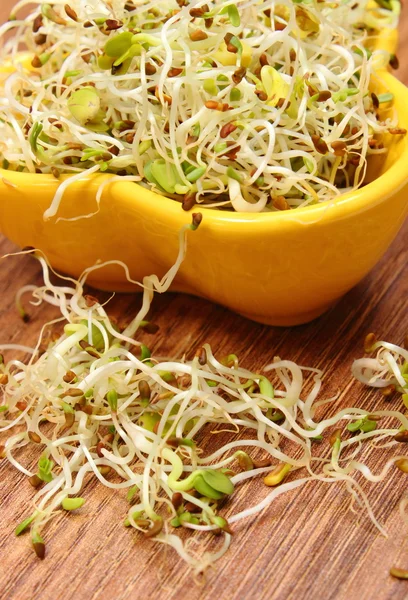 Tigela com alfafa e brotos de rabanete na mesa de madeira — Fotografia de Stock