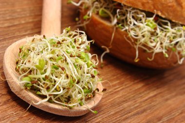 Yonca ve turp lahanası kaşık ve kepekli ekmek rulo