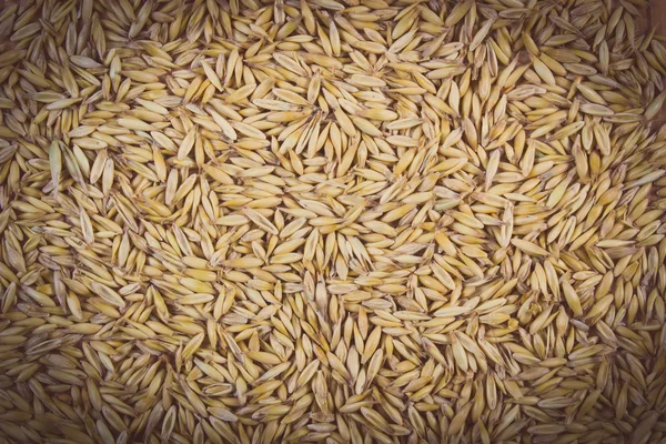 Vintage photo, Organic oat grains as background, healthy nutrition — Zdjęcie stockowe