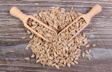 Ahşap zemin üzerine kaşıkla ayçiçeği tohumu