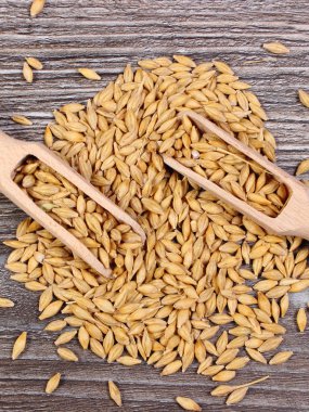 Arpa buğday ahşap zemin üzerine kaşıkla