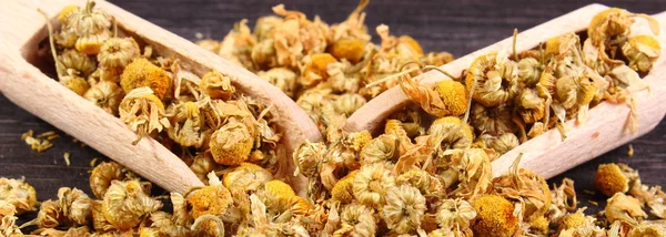 Dried chamomile on wooden table, alternative medicine — Stock Photo, Image