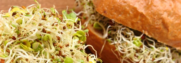 Wholemeal bread roll with alfalfa and radish sprouts — Stock Photo, Image