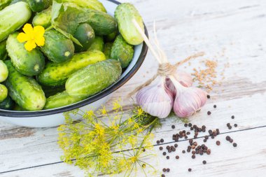 Salatalık metal kase ve güneşli günde bahçe salatalık dekapaj baharatlar