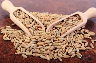 Çavdar tahıl tahta kaşıkla yığını