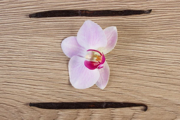 Orquídea florescente e palitos de baunilha perfumados — Fotografia de Stock