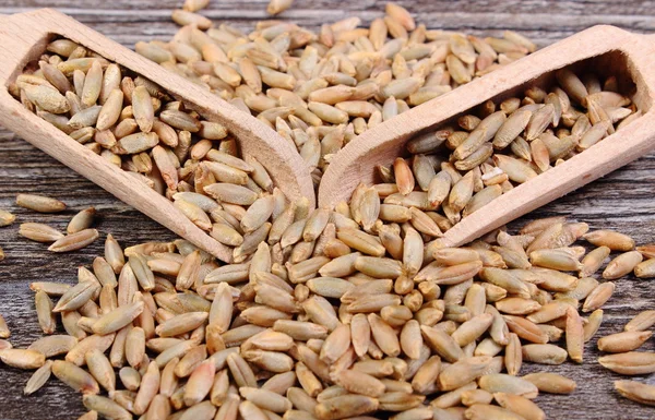 Rogge graan met lepel op houten achtergrond — Stockfoto