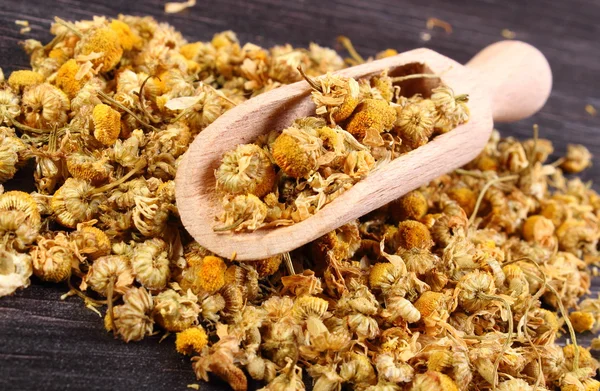 Dried chamomile on wooden table, alternative medicine — Stock Photo, Image