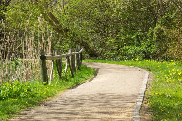 Yol ve güneşli bahçe veya park, bahar, ağaçlar — Stok fotoğraf