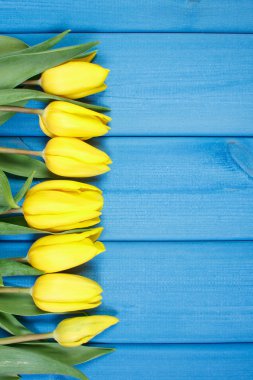 Bouquet of fresh tulips on blue wooden background, copy space for text