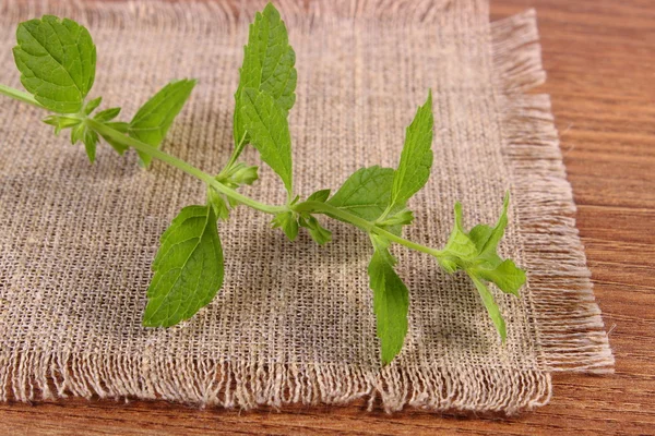 Bálsamo de limón fresco y saludable en la mesa de madera, herbalismo —  Fotos de Stock