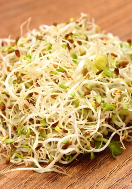 Yonca ve turp lahanası ahşap tablo