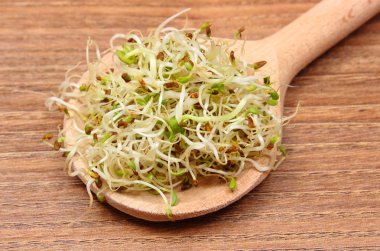 Yonca ve turp lahanası vurgunun, ahşap arka plan