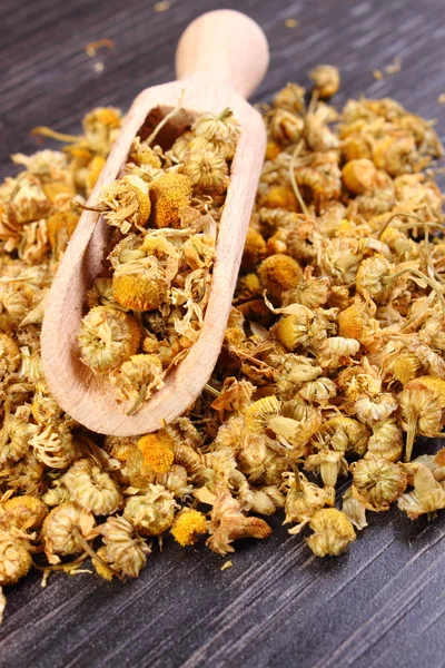 Dried chamomile on wooden table, alternative medicine — Stock Photo, Image