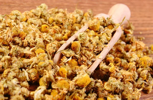 Dried chamomile on wooden table, alternative medicine — Stock Photo, Image