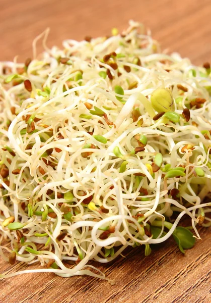 Alfalfa en radijs spruiten op houten tafel — Stockfoto