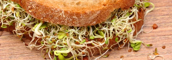 Wholemeal bread with alfalfa and radish sprouts — Stock Photo, Image