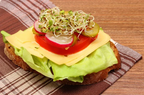 Вегетарианский сэндвич с люцерной и редькой — стоковое фото