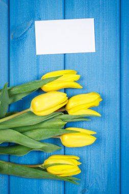 Bouquet of fresh tulips on blue wooden background, copy space for text on sheet of paper