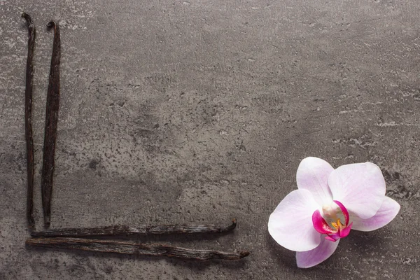 Orquídea florescente e palitos de baunilha perfumados, espaço de cópia para texto — Fotografia de Stock