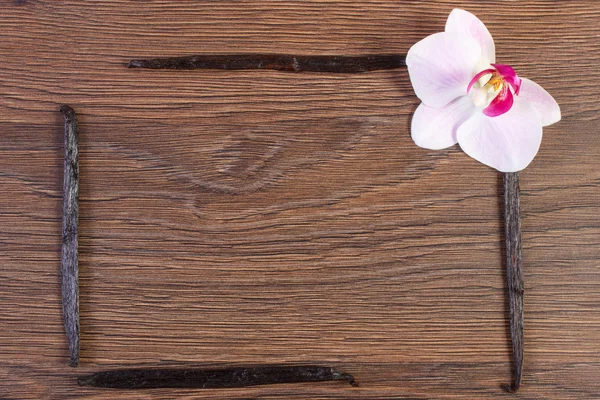 Orquídea florescente e palitos de baunilha perfumados, espaço de cópia para texto — Fotografia de Stock