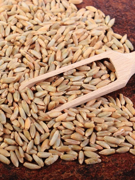 Montón de grano de centeno con cuchara de madera —  Fotos de Stock